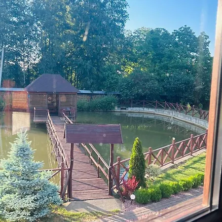 на ставку Vyzhnytsya