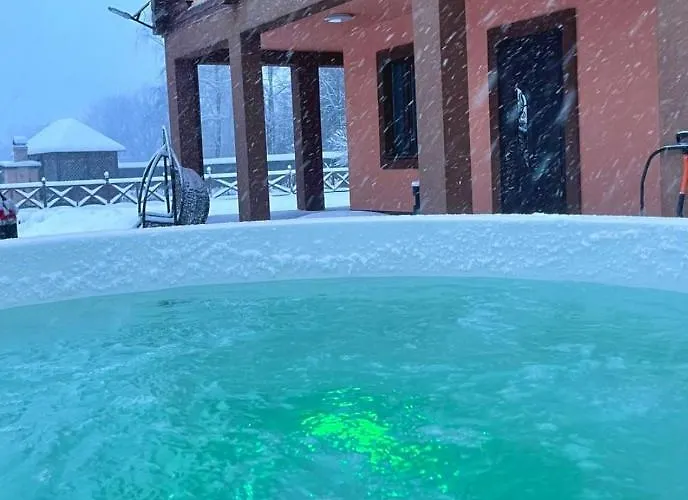 Villa на ставку Vyzjnytsja