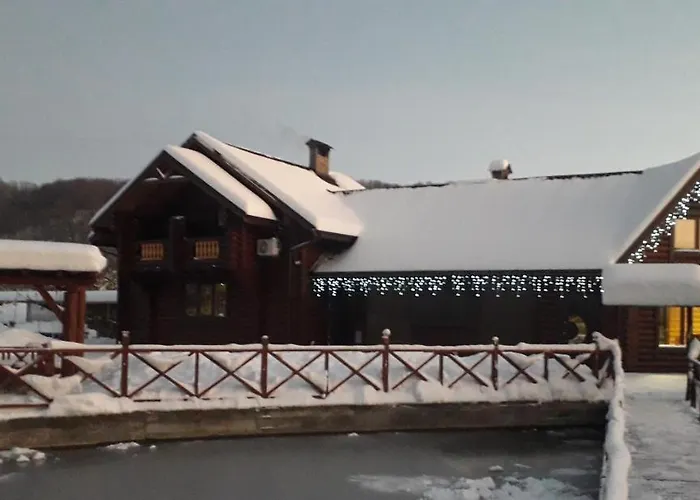 на ставку Villa Vyzjnytsja